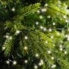 Led Compact Lights Outd Green Led Compact Lights Outd Green