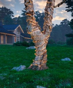 LED Pro-lights cluster lights steady outdoor