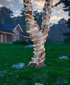 LED Pro-lights cluster lights steady outdoor