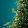 Micro LED bunch lights steady outdoor Micro LED bunch lights steady outdoor