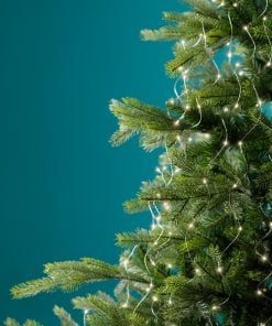 Micro LED bunch lights steady outdoor