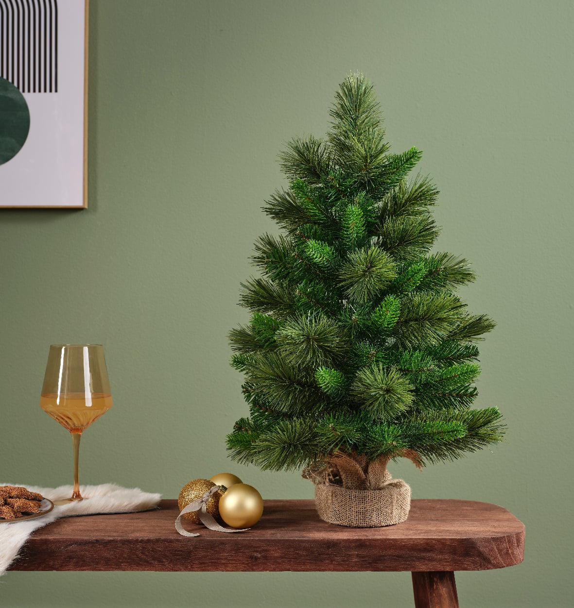 Edmonton spruce indoor Edmonton spruce indoor