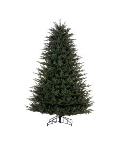 Georgian Fraser Tree 190Cm