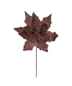Mocha Velvet Striped Ponsettia