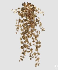 Falling Ivy H.100 C5