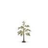 Frosted Bery Cedar Light Tre 9Cm