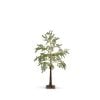 Frosted Berry Cedar Tree 12Cm
