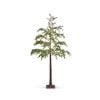 Frosted Berry Cedar Tree 14Cm Frosted Berry Cedar Tree 14Cm