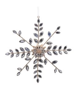 Jewel And Brooch Orn 22Cm