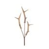 Natural Antler Spray 85Cm