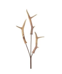 Natural Antler Spray 85Cm