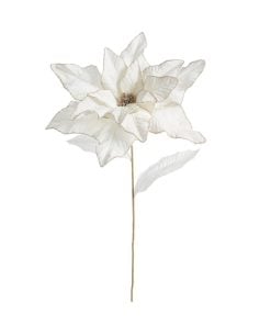 Ivory Poinsettia Stem 82Cm
