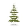 Bavarian Fir Tree W Brilliant Bavarian Fir Tree W Brilliant