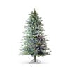 Colorado Blue Spruce Tree Colorado Blue Spruce Tree