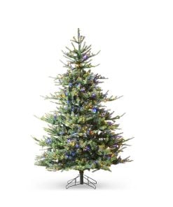 Deluxe Rocky Mountain Spruce