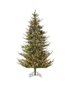 Silverton Spruce Tree