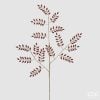 Felce Jewel Ram0 X15 H.80 C4