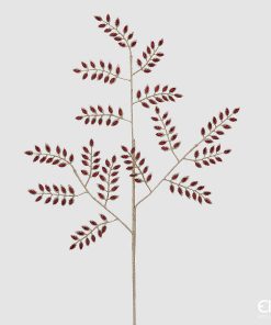 Felce Jewel Ram0 X15 H.80 C4