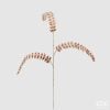 Fern Diam0Nds Branch H88 C2
