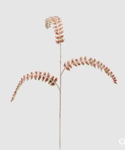 Fern Diam0Nds Branch H88 C2