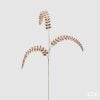 Fern Diam0Nds Branch H88 C2