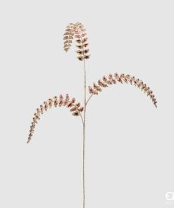 Fern Diam0Nds Branch H88 C2