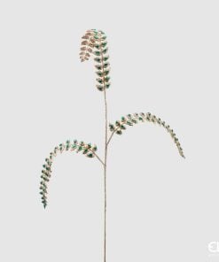 Fern Diam0Nds Branch H88 C2