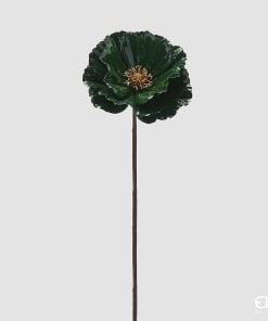 Papaver0 Gl0Ssy Ram0 H.70 C5