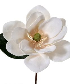12Inch Deluxe Large Velvet Magnolia Pick Wht