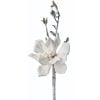 18" Snowed Japanese Magnolia Pick