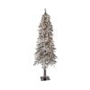 5" Twinkle Flk Elk Pass Alpinex346 26D 200L