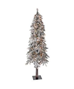 5" Twinkle Flk Elk Pass Alpinex346 26D 200L