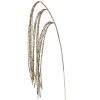 45" Sequin Beaded Rain Spray Chag 45" Sequin Beaded Rain Spray Chag