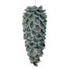 11.5" Iced Ptl W/Gltr/Jewel Pinecone Ornament Anbl 11.5" Iced Ptl W/Gltr/Jewel Pinecone Ornament Anbl