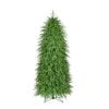 7" Nat Tch Norfolk Tree 908T 36D