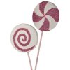 48" Tinsel Glitter Foam Lollipop 2/Ast Pkwh