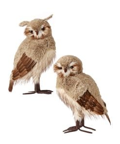 21.5" Winter Chalet Feather Owl 2/Ast