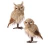 12.5" Winter Chalet Feather Owl 2/Ast