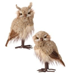 12.5" Winter Chalet Feather Owl 2/Ast