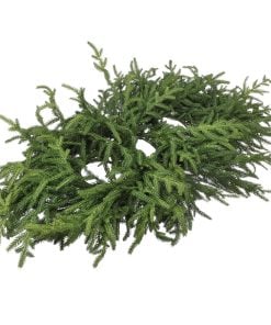 36" Justcut Norfolk Pine Centerpiece