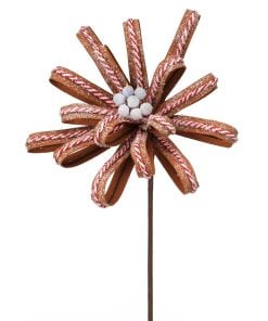 22" Sugar/Spice Gingerbread Loop Stem Brdw