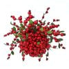 12" Wp Natural Berry Ridge Kissing Ball