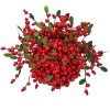14" Wp Natural Berry Ridge Kissing Ball