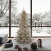 Champagne Fir Tree 2326 270Cm Champagne Fir Tree 2326 270Cm