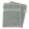 Set Of 2 Gloves 15X21 Cm 100% Cotton - Eucalyptus Green