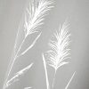 Rideau Pampa Naturel 140X260
