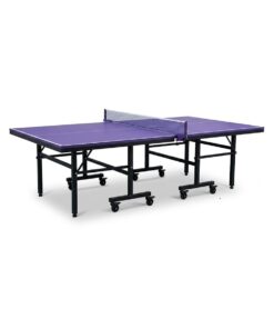 Body System Tennis Table